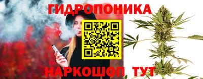 дмт Малгобек