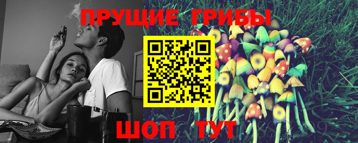 Галлюциногенные грибы Cubensis Чайковский