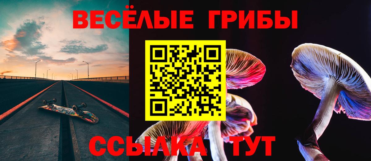 Псилоцибиновые грибы Magic Shrooms  Вход с VPN  Чайковский  закладка  Псилоцибиновые грибы GOLDEN TEACHER 